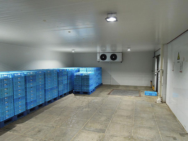 冷藏冷库建造